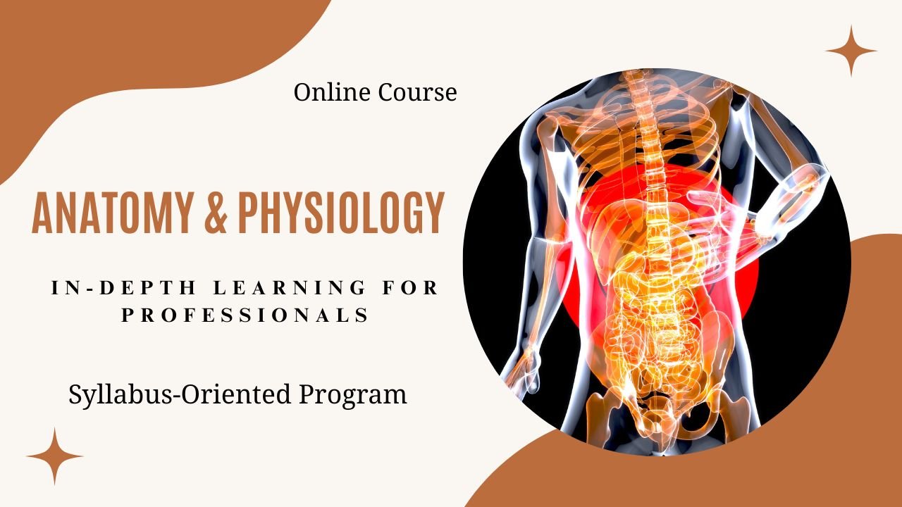 Anatomy & Physiology – In-Depth Learning for Professionals