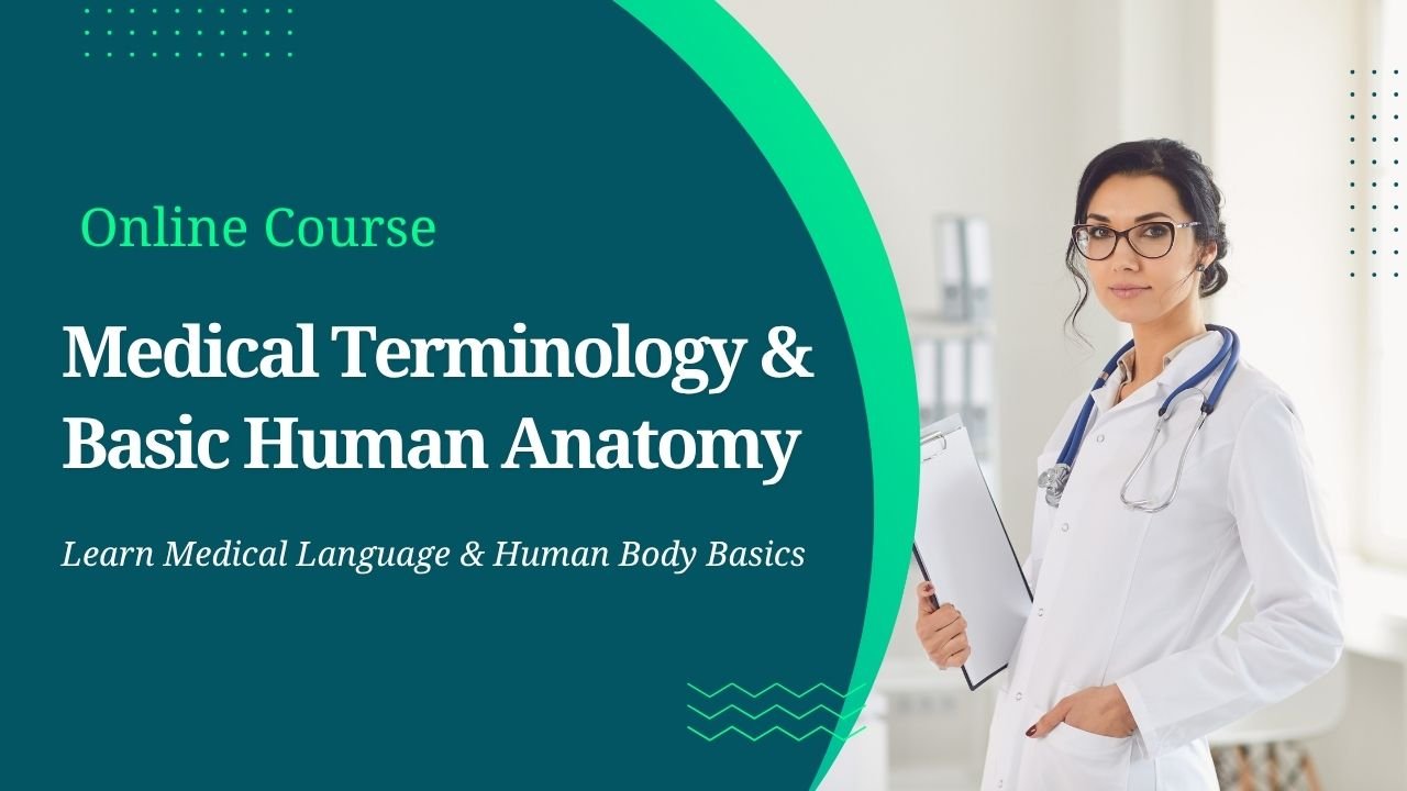 Medical Terminology & Basic Human Anatomy